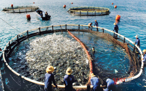 Exploring Sustainable Fisheries Frontiers: Dive into the 2024 International